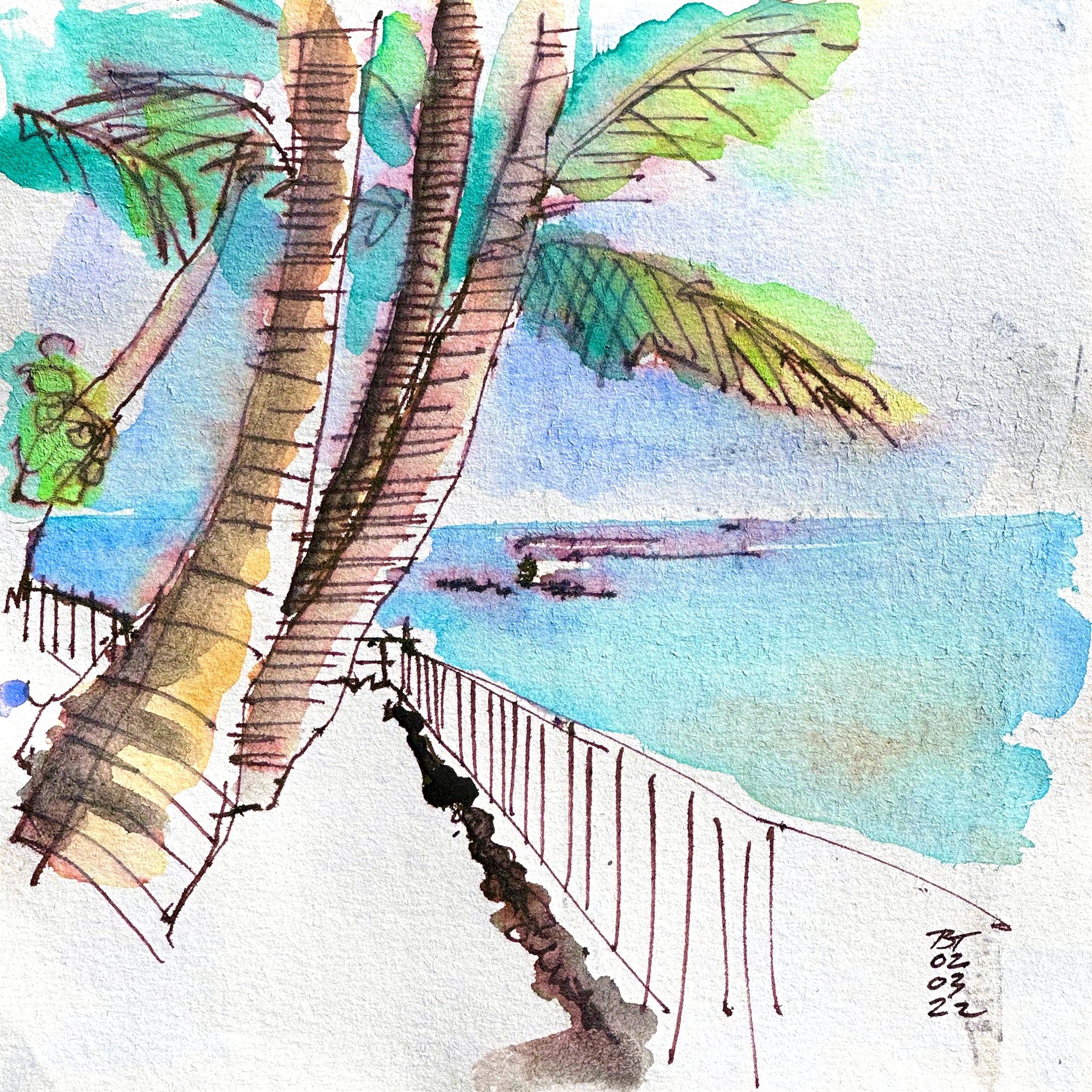 Gold Coast Palm Trees, 02.03.22