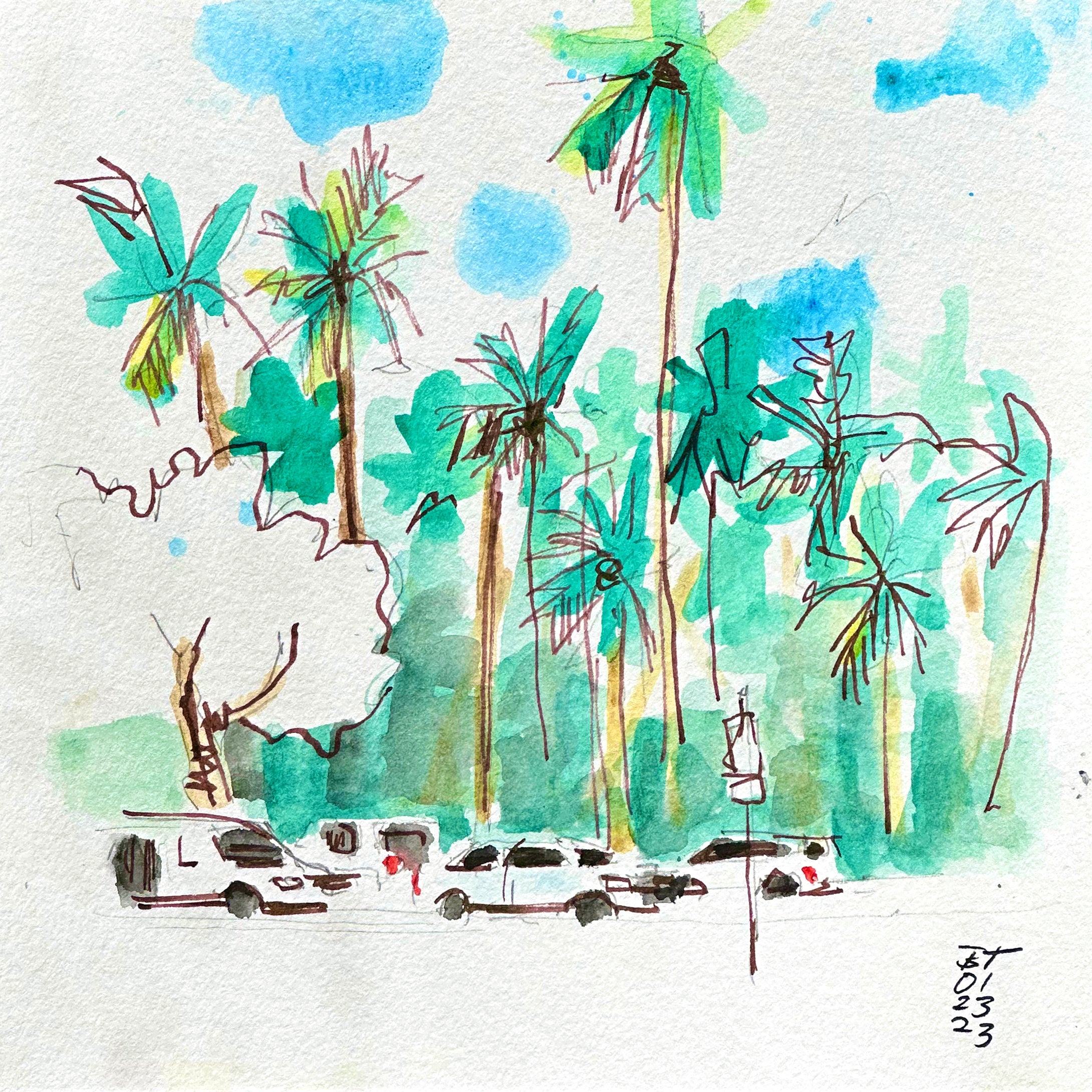 Kaimana Park Palm Trees, 01.23.23